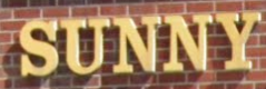 sunny