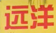 远洋
